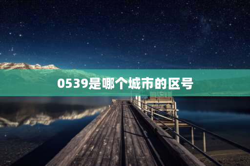 0539是哪个城市的区号 0539是什么地方的区号？