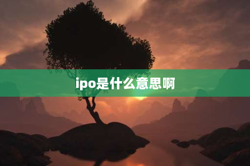 ipo是什么意思啊 ipo什么意思啊？