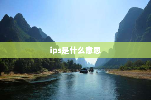 ips是什么意思 IPS是什么意思？