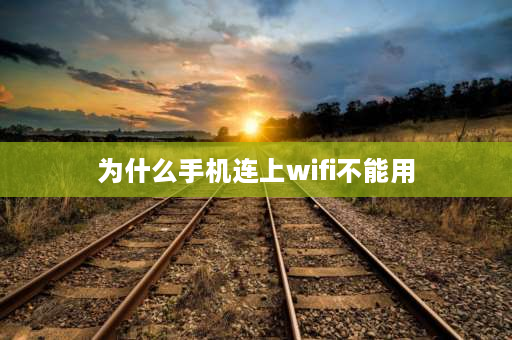 为什么手机连上wifi不能用 为什么手机连上了却wifi却不能上网？