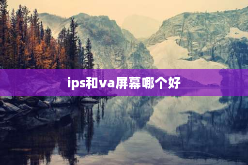 ips和va屏幕哪个好 ips屏和va屏哪个好？