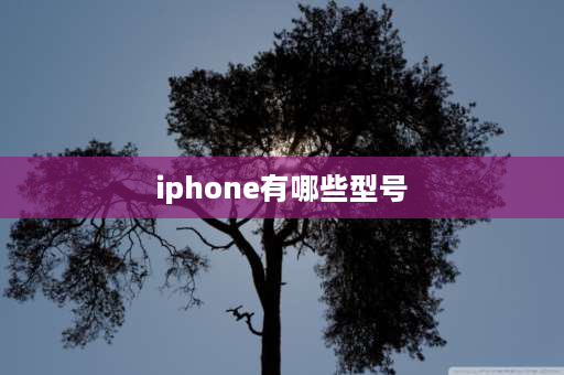 iphone有哪些型号 苹果手机历年来的多种型号？