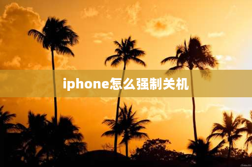 iphone怎么强制关机 已停用iphone怎么强制关机？