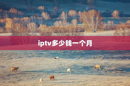 iptv多少钱一个月 电信itv多少钱一年？