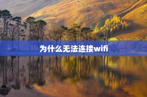 为什么无法连接wifi 为什么wifi怎么按都开不起来？