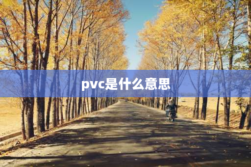 pvc是什么意思 PVC是什么意思？