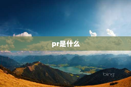 pr是什么 看到很多出国的写到PR，PR是什么意思？