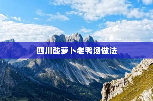 四川酸萝卜老鸭汤做法 煲老鸭汤的酸萝卜制作方法？