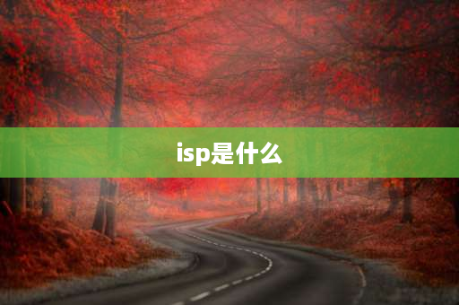 isp是什么 ISP网络用语什么意思？