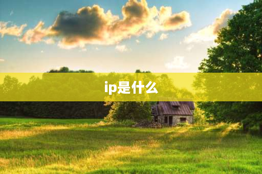 ip是什么 IP是什么意思？