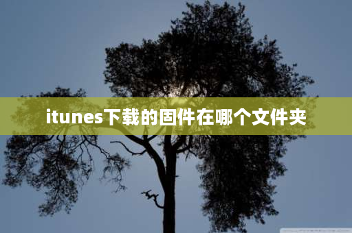 itunes下载的固件在哪个文件夹 恢复固件提示“固件文件不兼容”是什么意思？