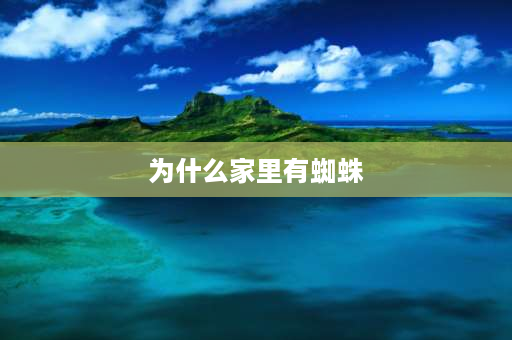 为什么家里有蜘蛛 为什么家里经常出现一种蜘蛛？