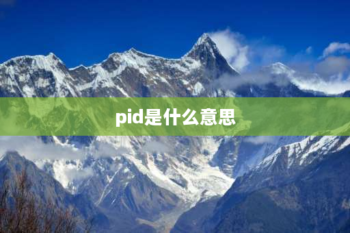 pid是什么意思 pid是什么意思饭圈？