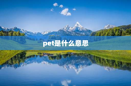 pet是什么意思 pet是什么意思？