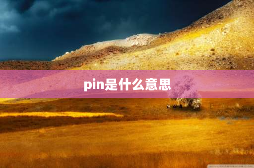 pin是什么意思 PIN是什么意思啊？