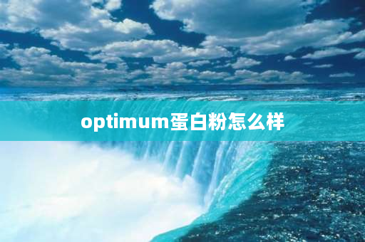 optimum蛋白粉怎么样 那个牌子的蛋白质粉好？