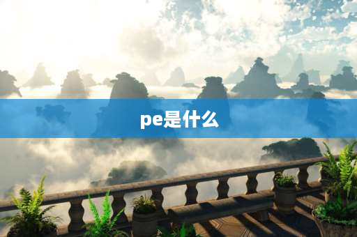 pe是什么 请问PE是什么意思？