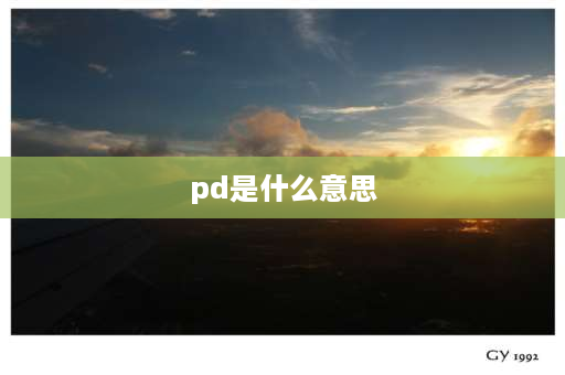 pd是什么意思 PD是什么？