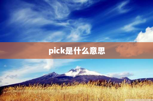 pick是什么意思 pick中文意思是什么？