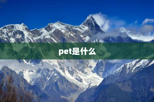 pet是什么 pet是什么意思？