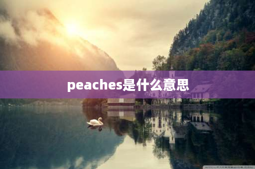 peaches是什么意思 peαch的复数形式？