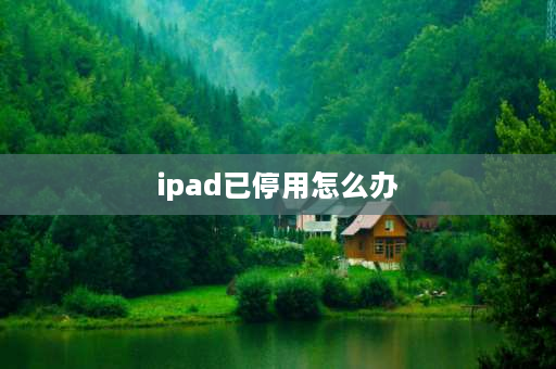 ipad已停用怎么办 ipad已停用了怎么办？