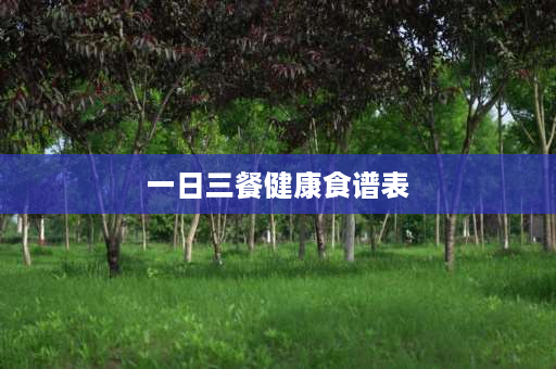 一日三餐健康食谱表 减肥三餐食谱？