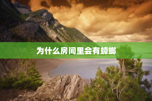 为什么房间里会有蟑螂 屋里有长虫什么意思？