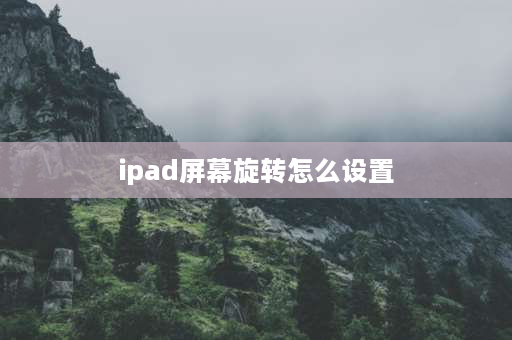 ipad屏幕旋转怎么设置 ipad横竖屏怎么设置？