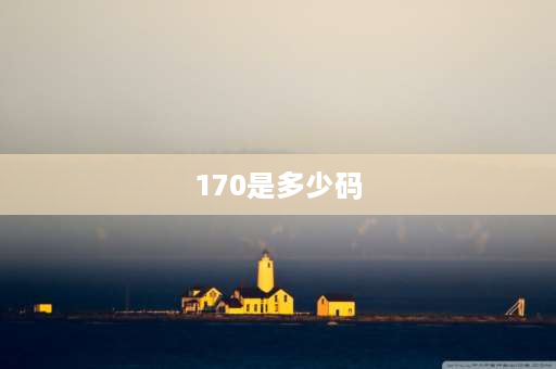 170是多少码 服装的尺码170是多少？