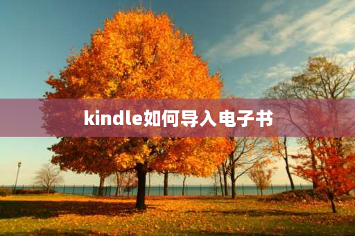 kindle如何导入电子书 如何在kindle中导入电子书？