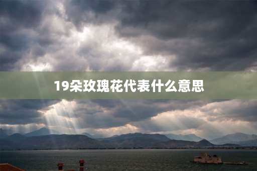 19朵玫瑰花代表什么意思 19朵爱莎玫瑰代表什么意思？