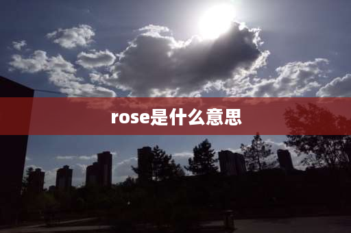 rose是什么意思 rose是什么意思？为什么它既是rise的过去是，有是玫瑰？