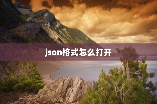 json格式怎么打开 json文件怎么导入？