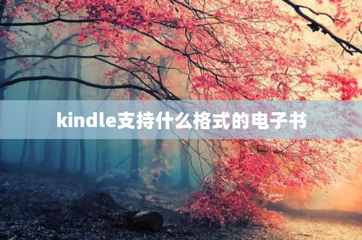 kindle支持什么格式的电子书 kindle支持哪些格式？