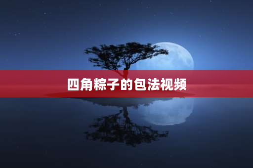 四角粽子的包法视频 南方粽子的做法和配料？