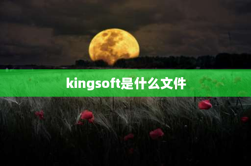 kingsoft是什么文件 kinggsoft文件夹是什么？