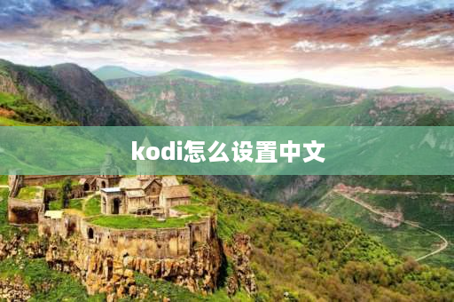 kodi怎么设置中文 kodo怎么调成中文？