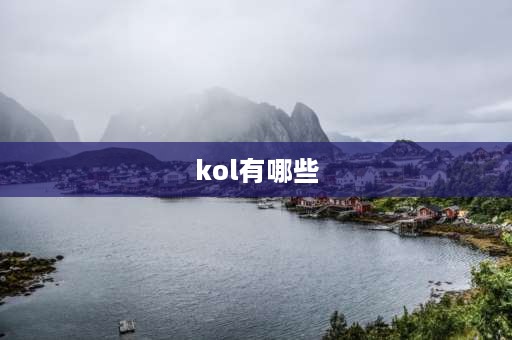 kol有哪些 区域KOL客户和ROL客户是什么意思？