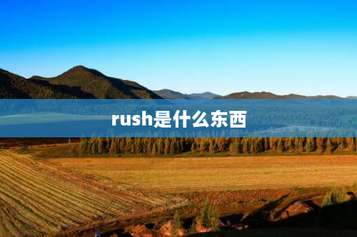 rush是什么东西 忙的田字格组词？