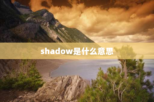 shadow是什么意思 Roy什么意思？