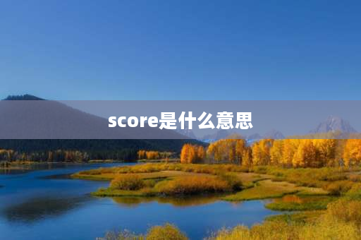 score是什么意思 用score系表结构造句？