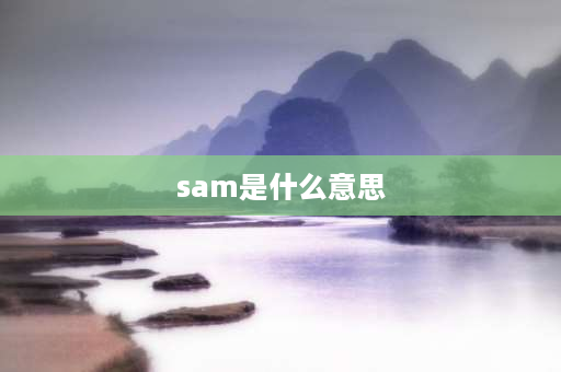 sam是什么意思 英语sam是什么意思？