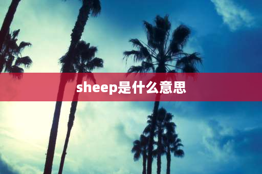 sheep是什么意思 绵羊为什么是不可数名词？