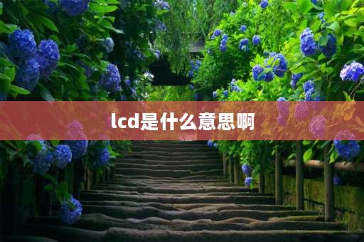 lcd是什么意思啊 手机屏lcd啥意思？