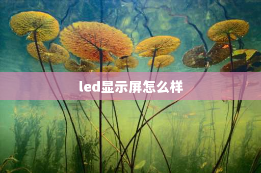 led显示屏怎么样 led屏幕真的伤眼吗？