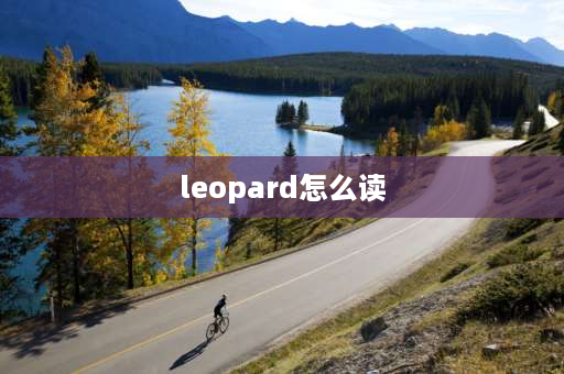 leopard怎么读 tiger和ten中的t读音相同吗？