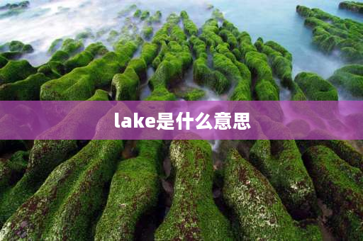 lake是什么意思 lake是什么类？