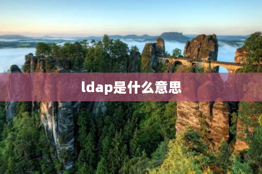 ldap是什么意思 ldap用户是什么用户？