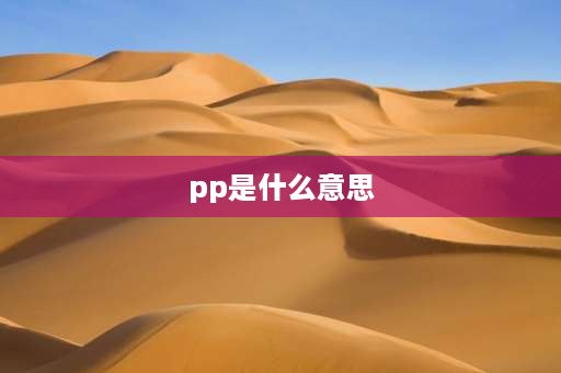 pp是什么意思 PP是什么意思？